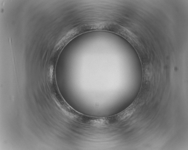 X0000059080118200510172039