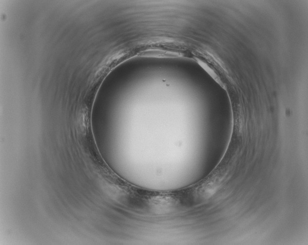 X0000059080119200510172039