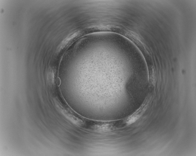 X0000059080120200510172039