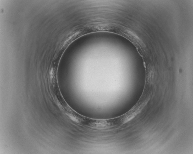 X0000059080121200510172039