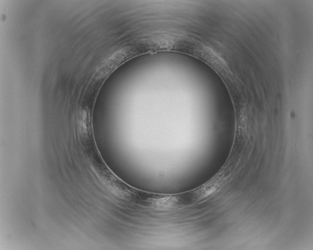 X0000059080122200510172039