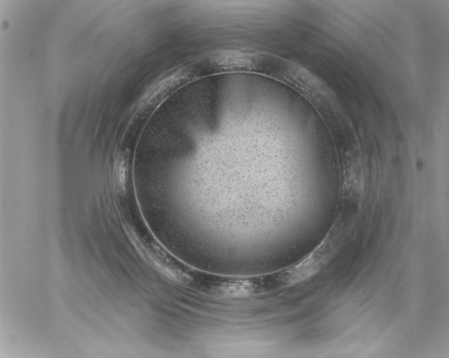 X0000059080124200510172039