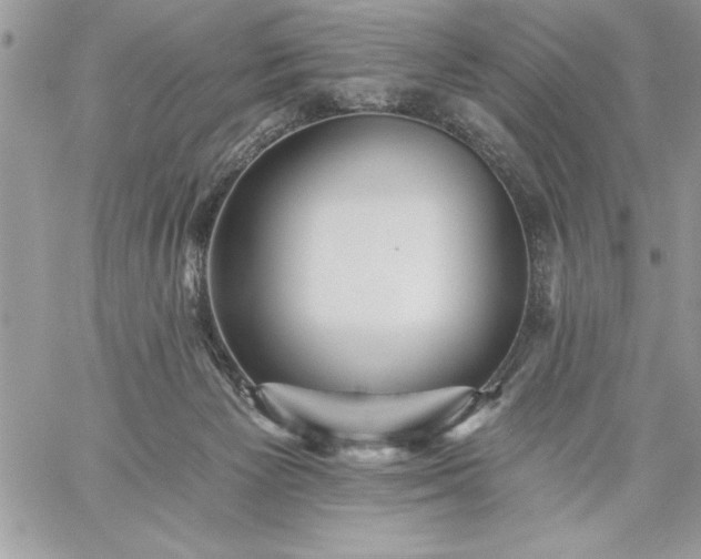 X0000059080125200510172039