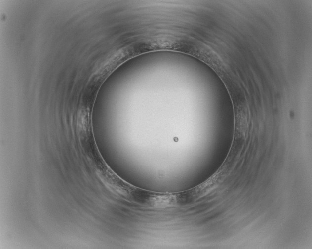 X0000059080126200510172039