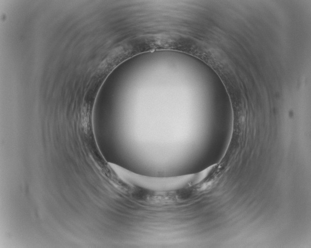 X0000059080129200510172039