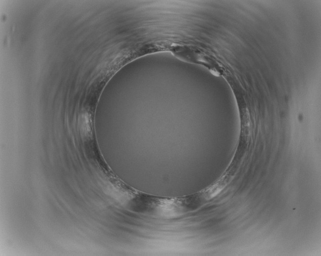 X0000059080130200510172039