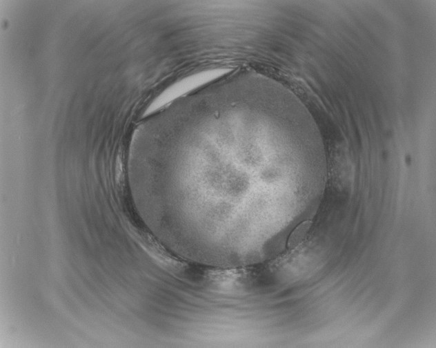 X0000059080131200510172039