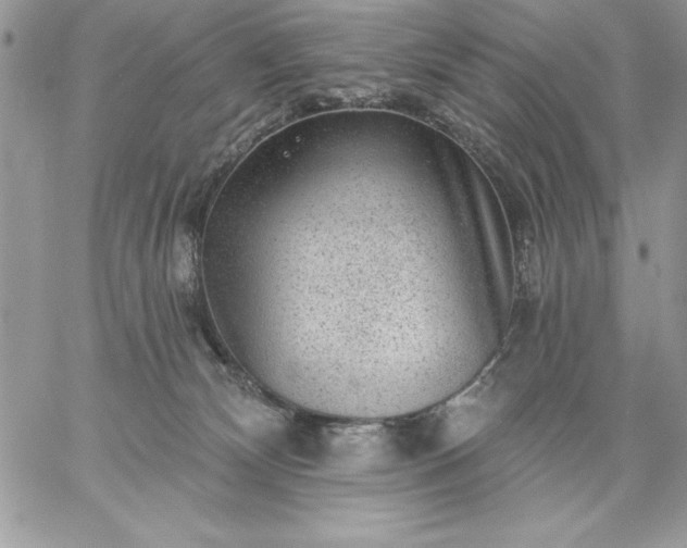 X0000059080132200510172039