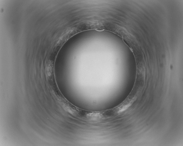 X0000059080133200510172039