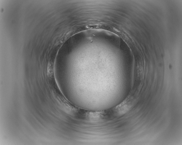 X0000059080134200510172039