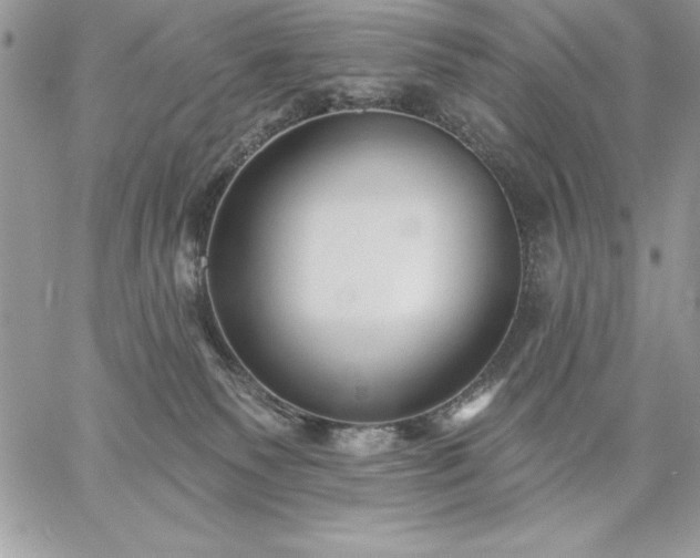 X0000059080135200510172039