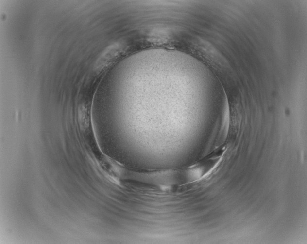 X0000059080136200510172039