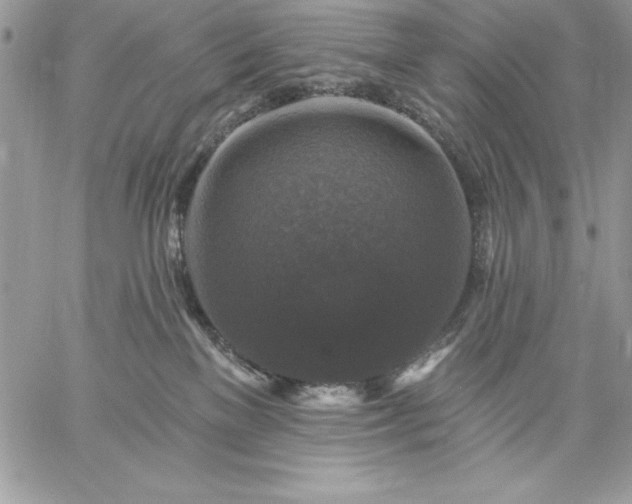 X0000059080137200510172039