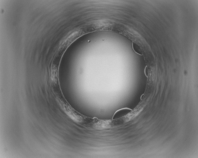 X0000059080138200510172039