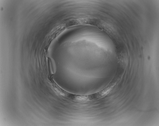 X0000059080139200510172039