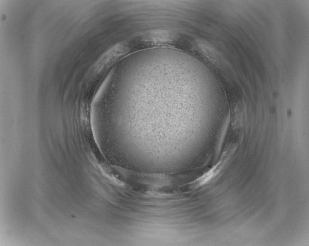 X0000059080140200510172039