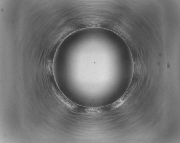 X0000059080141200510172039