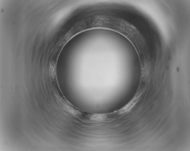 X0000059080142200510172039