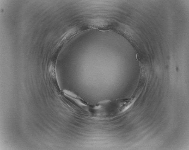 X0000059080143200510172039