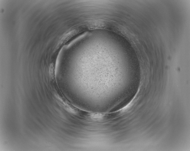 X0000059080144200510172039