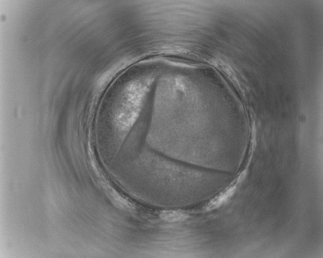 X0000059080145200510172038