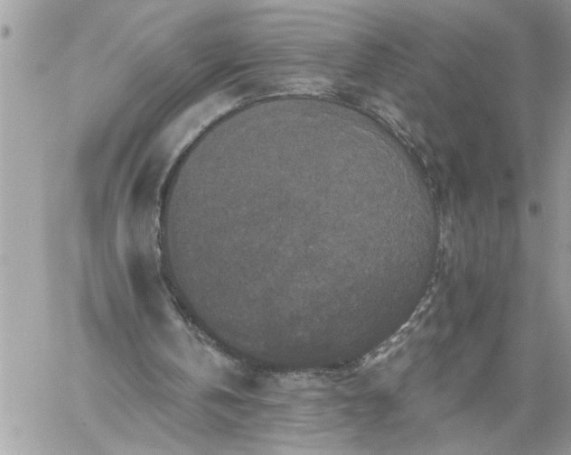 X0000059080146200510172038