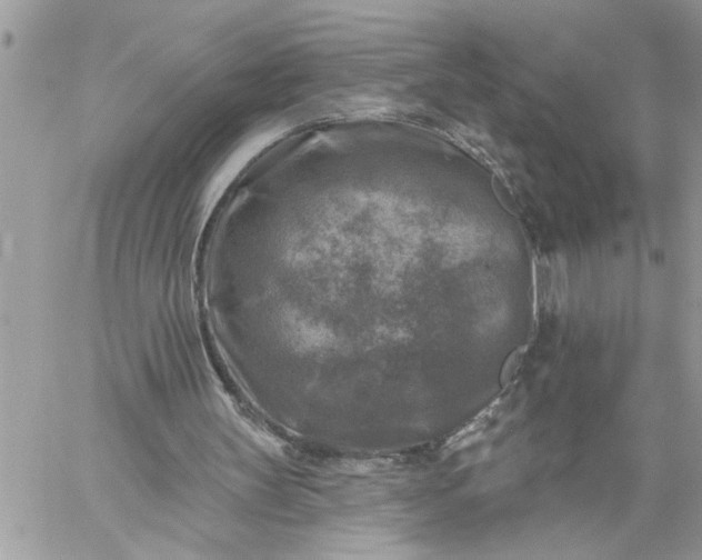 X0000059080147200510172038