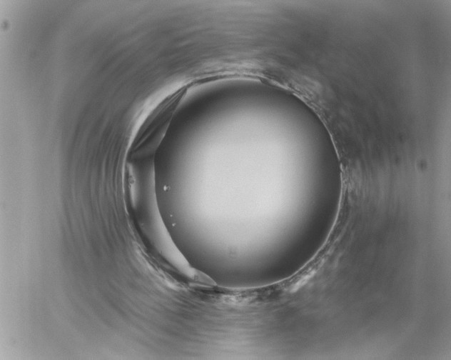 X0000059080148200510172038