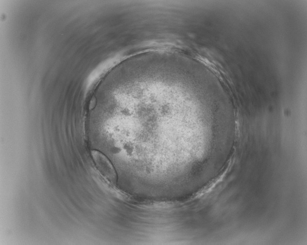 X0000059080149200510172038