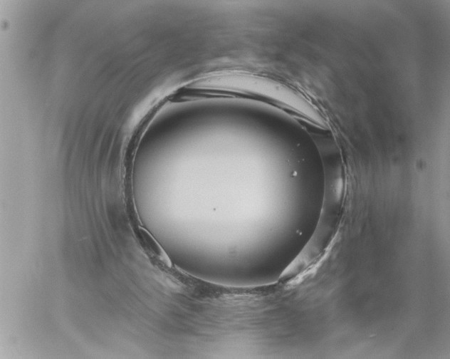 X0000059080150200510172038