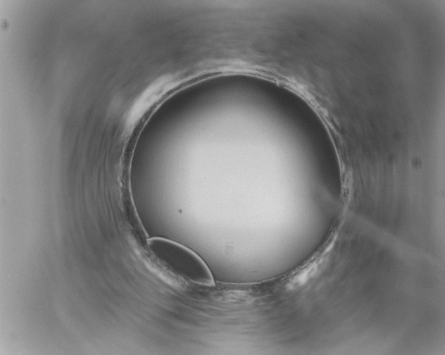 X0000059080151200510172038