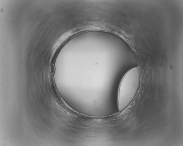 X0000059080152200510172038