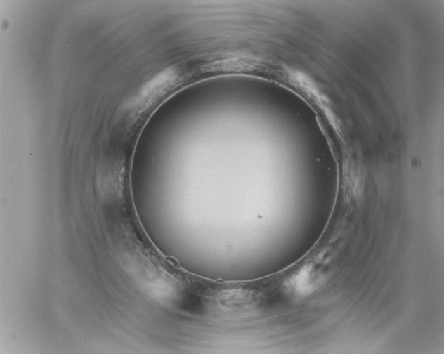 X0000059080153200510172038