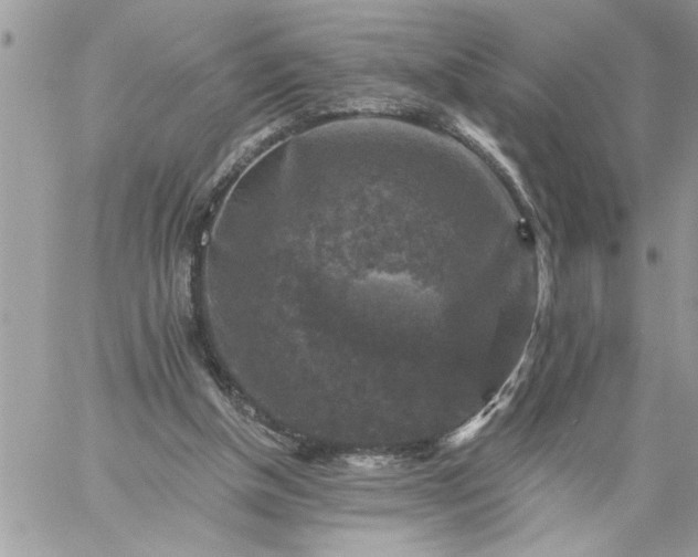 X0000059080154200510172038