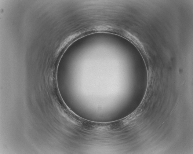 X0000059080155200510172038