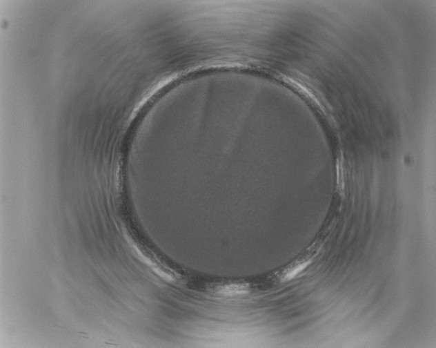 X0000059080156200510172038