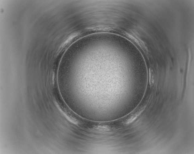 X0000059080157200510172038