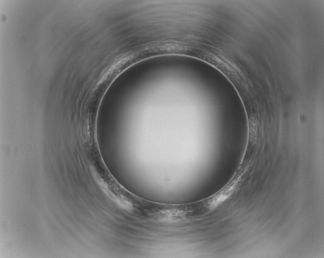 X0000059080158200510172038