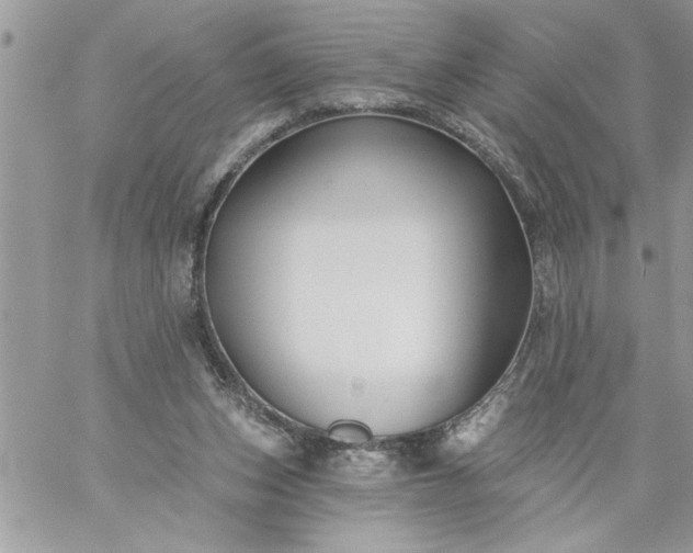 X0000059080159200510172038