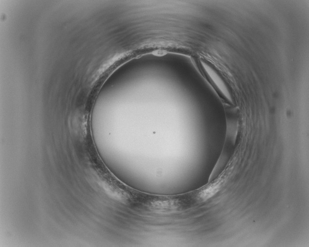 X0000059080160200510172038