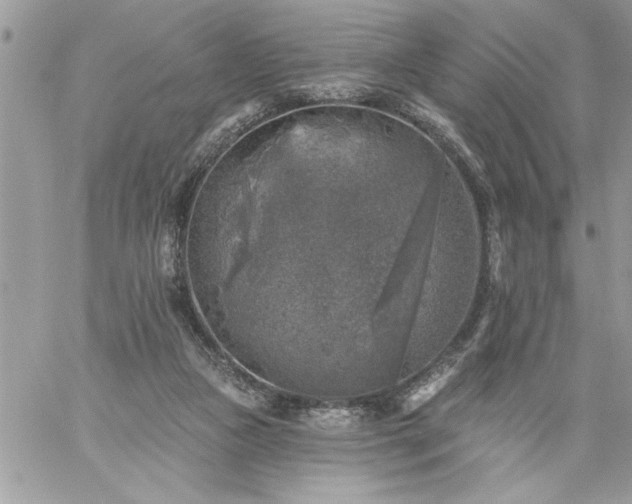 X0000059080161200510172038