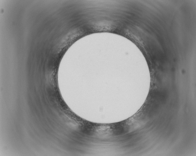 X0000059080162200510172038