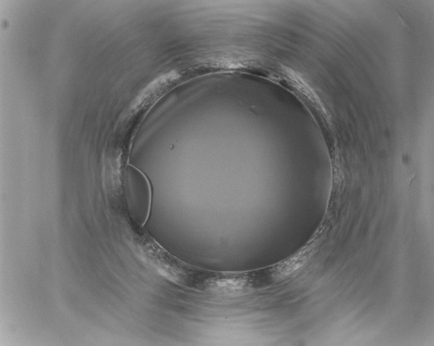 X0000059080163200510172038