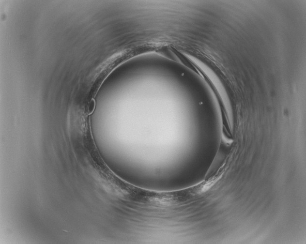 X0000059080164200510172038