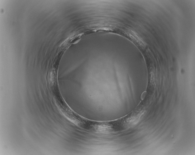 X0000059080165200510172038