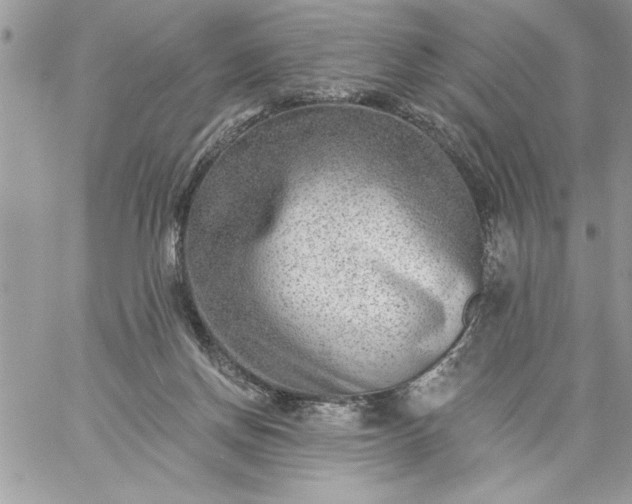 X0000059080166200510172038