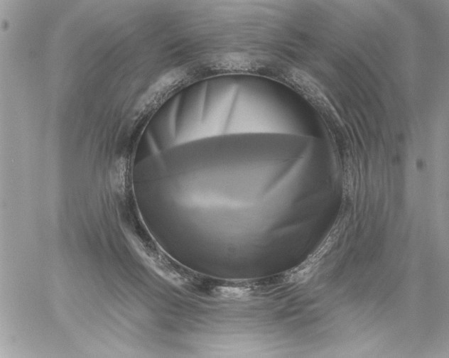 X0000059080167200510172038