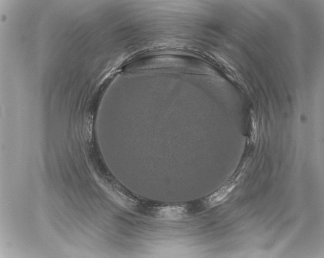 X0000059080168200510172038