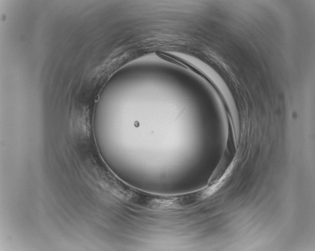 X0000059080170200510172038