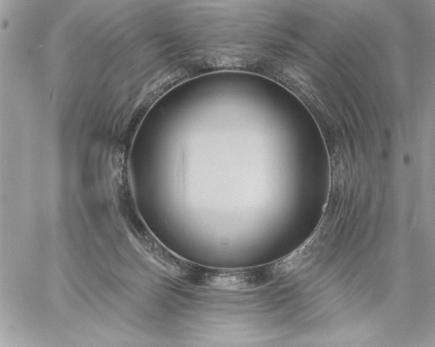 X0000059080171200510172038